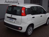 Gebraucht Fiat Panda Urban 69 PS (50 kW) 2020 Weiß Limousine