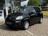 Neu Fiat Panda 69 PS (50 kW) 2025 Cinema schwarz Kleinwagen