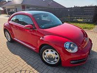 Gebraucht VW Beetle Design 105 PS (77 kW) 2012 Rot Kleinwagen