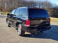 gebraucht Cadillac Escalade SUV/Gelände/Pick