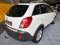 Gebraucht Opel Antara Design Edition 163 PS (119 kW) 2012 Weiß SUV