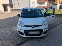 gebraucht Fiat Panda 