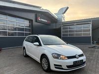 Gebraucht VW Golf VII Trendline 110 PS (80 kW) 2015 Weiß Kombi