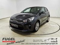 Gebraucht Kia Rio DREAM-TEAM Edition 84 PS (61 kW) 2020 Graphite met. Kleinwagen