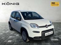 Gebraucht Fiat Panda 69 PS (50 kW) 2025 Weiß Kleinwagen