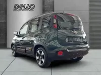 Neu Fiat Panda Cross Cross 69 PS (50 kW) 2026 Foresta grün Kleinwagen