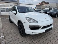 Gebraucht Porsche Cayenne 245 PS (180 kW) 2014 Weiß SUV
