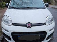 Gebraucht Fiat Panda 69 PS (50 kW) 2017 Weiß Kleinwagen