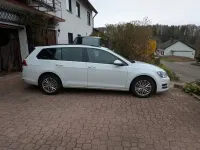 Gebraucht VW Golf VII Trendline 110 PS (80 kW) 2014 Weiß Kombi