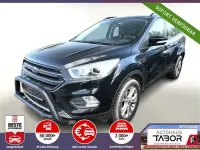 Usado Ford Kuga Titanium 150 CV (110 kW) 2019 Negro SUV