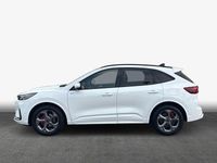 Gebraucht Ford Kuga ST-Line X 151 PS (111 kW) 2024 Weiß SUV