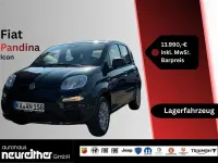 Gebraucht Fiat Panda Icon 69 PS (50 kW) 2025 Schwarz Kleinwagen