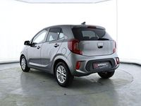 Gebraucht Kia Picanto Vision 84 PS (61 kW) 2024 Grau Kleinwagen