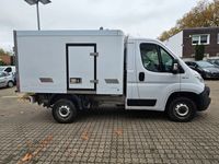 Gebraucht Fiat Ducato 120 PS (88 kW) 2021 Weiß Van