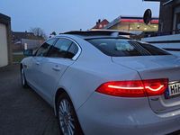 Gebraucht Jaguar XE Portfolio 163 PS (119 kW) 2016 Weiß Limousine