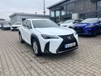 gebraucht Lexus UX 250h Crossover F-Sport Design Sondermodell