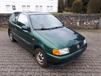 Gebraucht VW Polo 75 PS (55 kW) 1998 Grün Kleinwagen