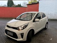 Gebraucht Kia Picanto 67 PS (49 kW) 2022 Weiß Kleinwagen