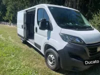 Gebraucht Fiat Ducato 140 PS (102 kW) 2023 Weiß Van
