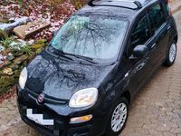Gebraucht Fiat Panda Easy 69 PS (50 kW) 2018 Schwarz Kleinwagen
