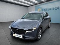 Gebraucht Mazda CX-30 Selection 122 PS (89 kW) 2022 Grau SUV