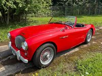 Brugt Austin Healey 100 90 HK (66 kW) 1954 Rød Cabriolet