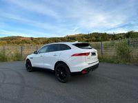 Gebraucht Jaguar F-Pace 180 PS (132 kW) 2017 Weiß SUV