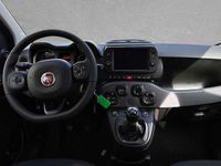Gebraucht Fiat Panda Red 69 PS (50 kW) 2023 Rot Kleinwagen