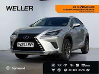 Gebraucht Lexus NX300h Executive Line 197 PS (144 kW) 2018 Silber SUV