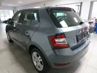 Gebraucht Skoda Fabia Ambition 110 PS (80 kW) 2020 Grau Kleinwagen