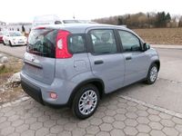 gebraucht Fiat Panda Hybrid 1.0 Komfortpaket