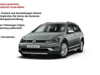 Gebraucht VW Golf Alltrack 184 PS (135 kW) 2019 Indiumgrau metallic Kombi