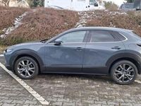 Gebraucht Mazda CX-30 Selection 179 PS (131 kW) 2020 Grau SUV