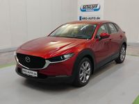 Gebraucht Mazda CX-30 Selection 186 PS (136 kW) 2021 Rot SUV