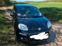 Gebraucht Fiat Panda 2017 Schwarz Kleinwagen
