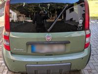 Gebraucht Fiat Panda 4x4 68 PS (50 kW) 2010 Grün Kleinwagen