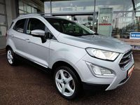 Gebraucht Ford Ecosport Titanium X 125 PS (91 kW) 2019 Polar silber metallic SUV