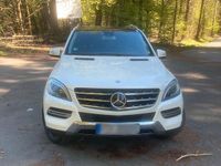 Gebraucht Mercedes ML350 258 PS (189 kW) 2014 Weiß SUV