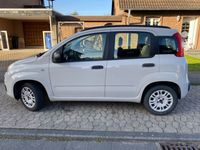 gebraucht Fiat Panda New1.2 - gepflegt, wenig gelaufen, TüV 26