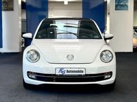 Gebraucht VW Beetle Cup 105 PS (77 kW) 2015 Weiß Kleinwagen