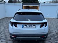Gebraucht Hyundai Tucson Advantage 150 PS (110 kW) 2024 Weiß SUV