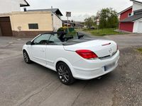 Gebraucht Opel Astra Cabriolet Edition 140 PS (102 kW) 2010 Weiß Cabrio