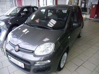 Gebraucht Fiat Panda 69 PS (50 kW) 2021 Grau Kleinwagen