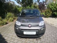 Occasion Fiat Panda 69 ch (50 kW) 2024 Gris Citadine