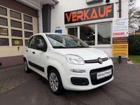 Gebraucht Fiat Panda Pop 69 PS (50 kW) 2016 Weiß Kleinwagen