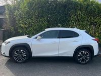 Gebraucht Lexus UX 184 PS (135 kW) 2020 Weiß SUV