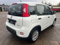 Gebraucht Fiat Panda 69 PS (50 kW) 2023 Kleinwagen
