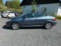 Gebraucht Peugeot 307 CC 140 PS (102 kW) 2009 Grau Cabrio