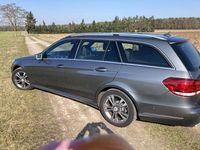 Gebraucht Mercedes E220 170 PS (125 kW) 2016 Grau Kombi