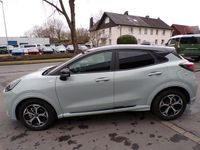 Neu Ford Puma ST-Line 125 PS (91 kW) 2025 Grau SUV